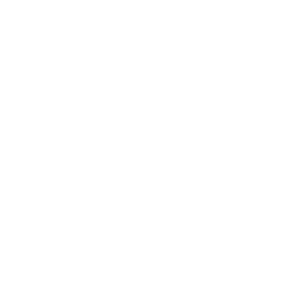 Haven Capital